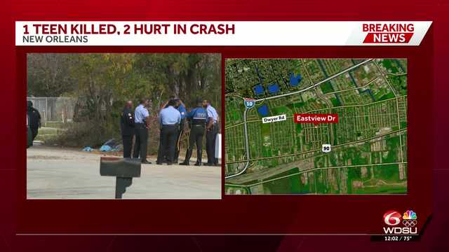 16-year-old dead, two other teens injured in Plum Orchard crash