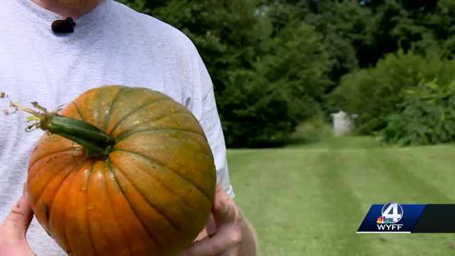 Georgia: One-of-a-kind glow in the dark pumpkins - Vimarsana News