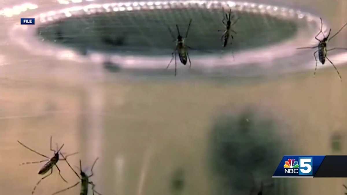 Central Mass Town Hit Hard By Eee Outbreak What You Need To Know - s91zoow