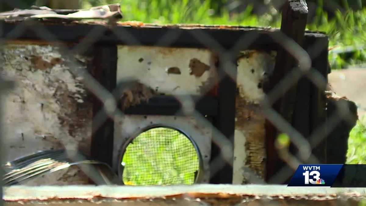 Pelham woman's neighbor saves son from house fire