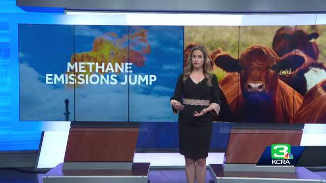 NOAA: methane increases may be result of climate 'feedback loop' - Vimarsana News
