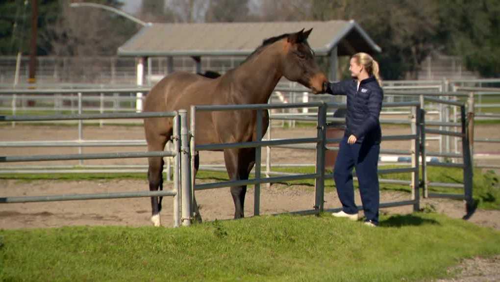 'Blindsided': UC Davis Equestrian team loses Division I varsity status; athletes, alumni shocked