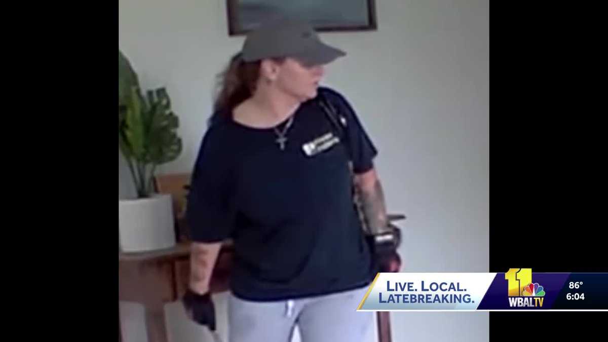 Police: Woman charged with burglaries caught on camera