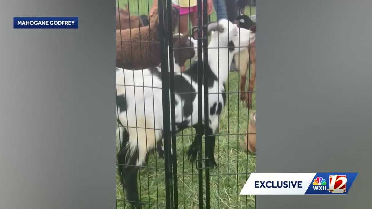 ‘I was there!’: Two women speak after rabies scare with traveling petting zoo