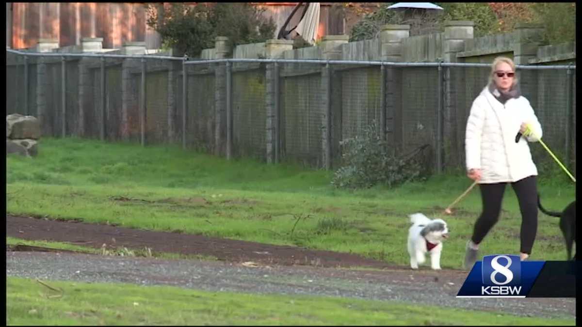 2 German Shepherds killed a small puppy in Seaside