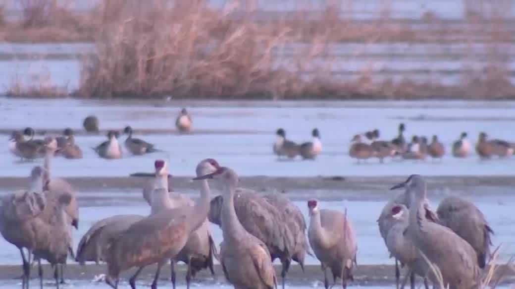 Lawsuit challenges Gov. Pillen administration's use of Nebraska Environmental Trust funds