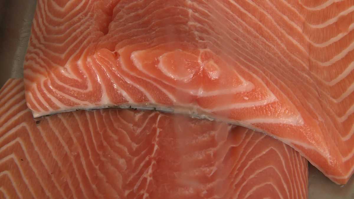 Local Catch Network receives more than $480K in federal grant funding