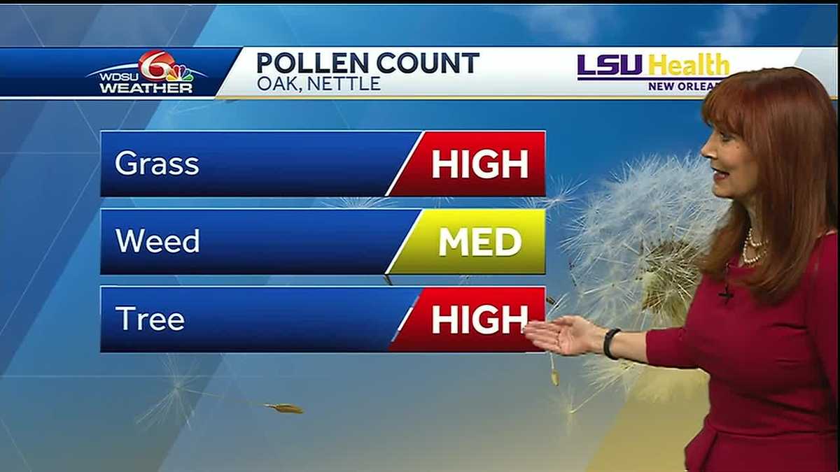 Tuesday Night Pollen is High