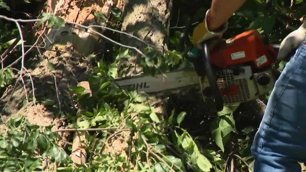 Gov. Reynolds issues disaster proclamation for 11 Iowa counties following severe weather