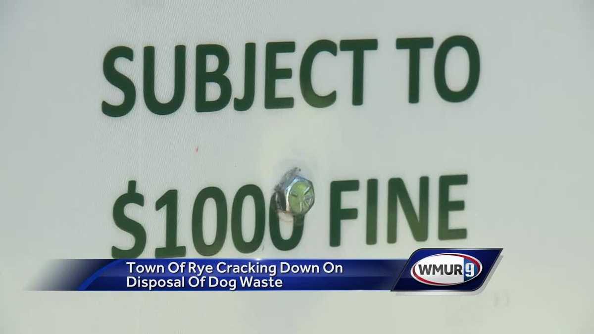 Rye increases fines for improper dog waste removal