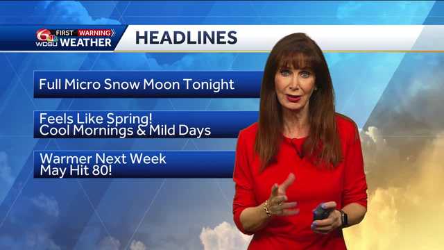 Look up for Full Micro Snow Moon - Vimarsana News