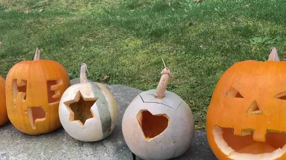 Hyde Park community steps in to save Pumpkin Party