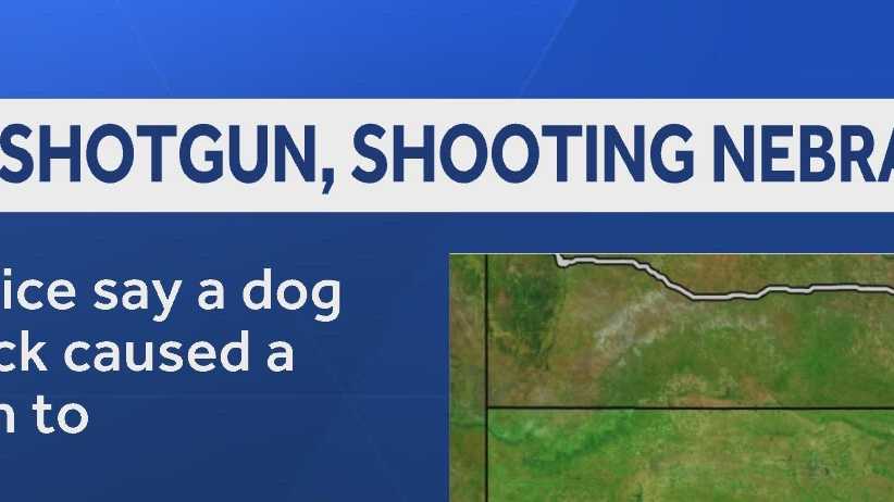 Dog triggers shotgun, shooting Nebraska woman