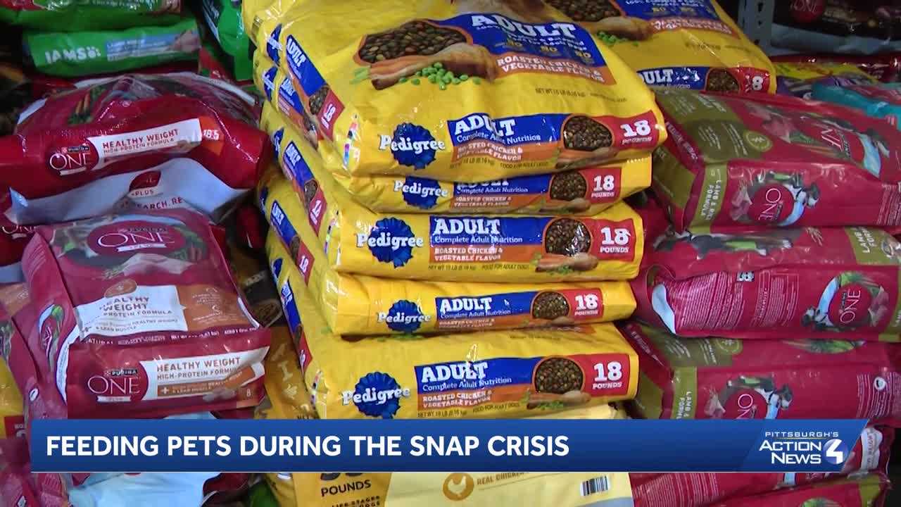 SNAP Delays Force Families to Choose Between Their Own Meals and Pet Care