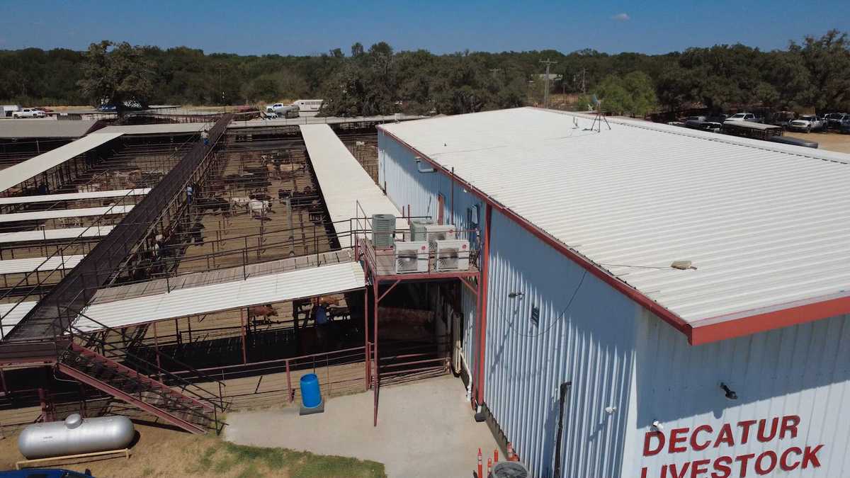 Farm to Table: Texas ranchers feel squeeze from Trump beef-import plan ...