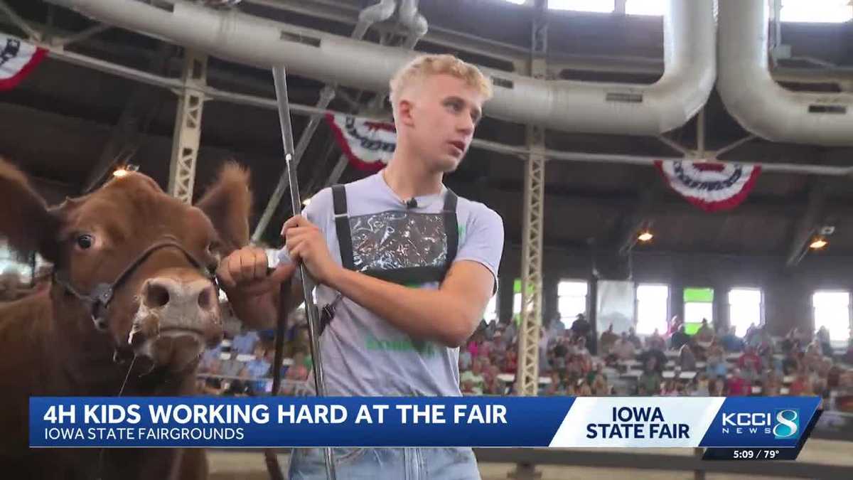 Iowa 4-H members learn many lessons in Iowa State Fair barns