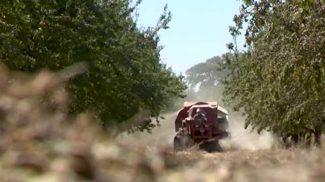 California's farming industry hit hard by inflation, and consumers are not immune - Vimarsana News