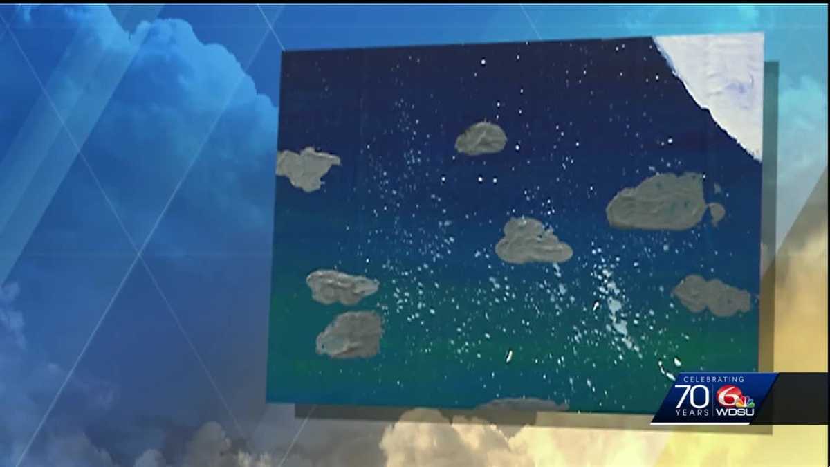 Margaret's Weather Picture for August 13, 2019