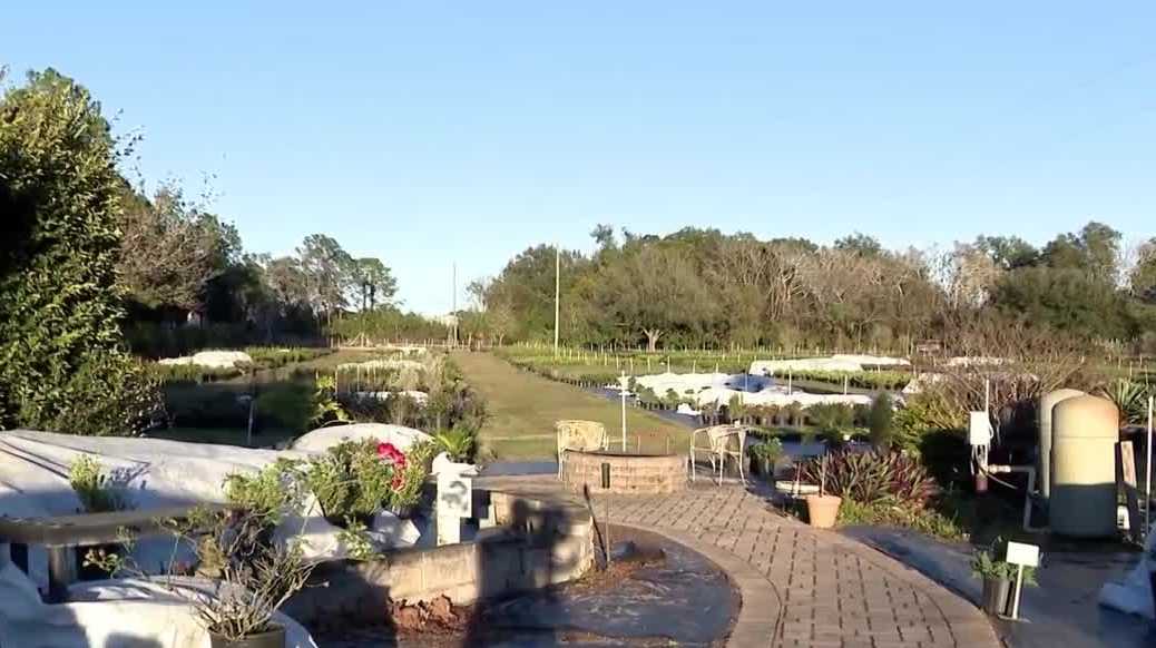 Lake County nurseries work to protect thousands of plants from frigid temperatures