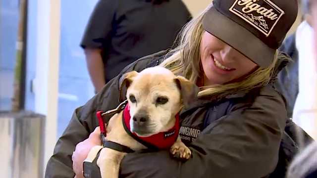 South Carolina: Woman reunited with dog after 7 years - Vimarsana News