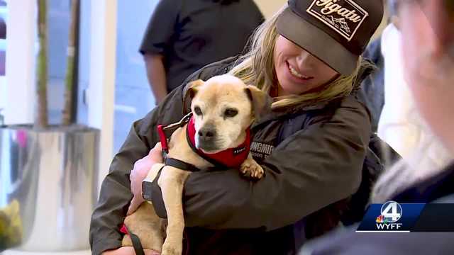 South Carolina: Woman reunited with dog after 7 years - Vimarsana News