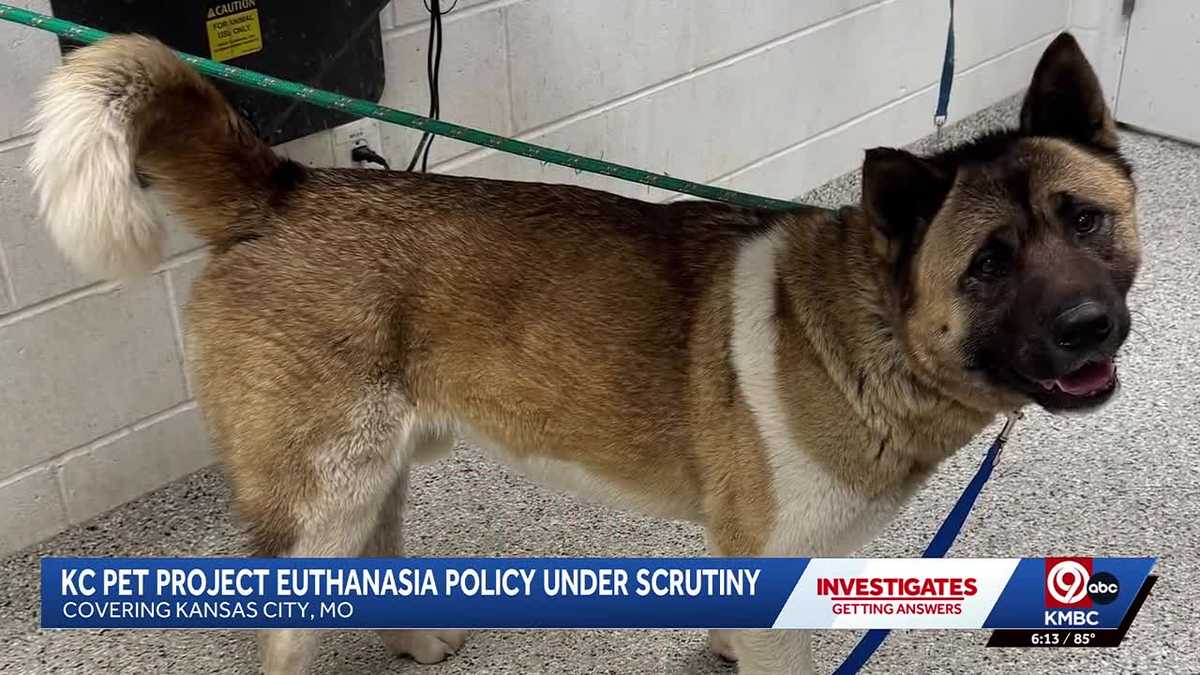 KC Pet Project euthanasia policy raises concerns for volunteers, former board me...
