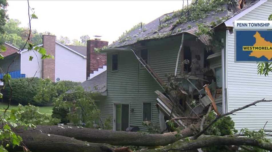 PENN TOWNSHIP: Man killed after tree falls on house, traps him in his bed