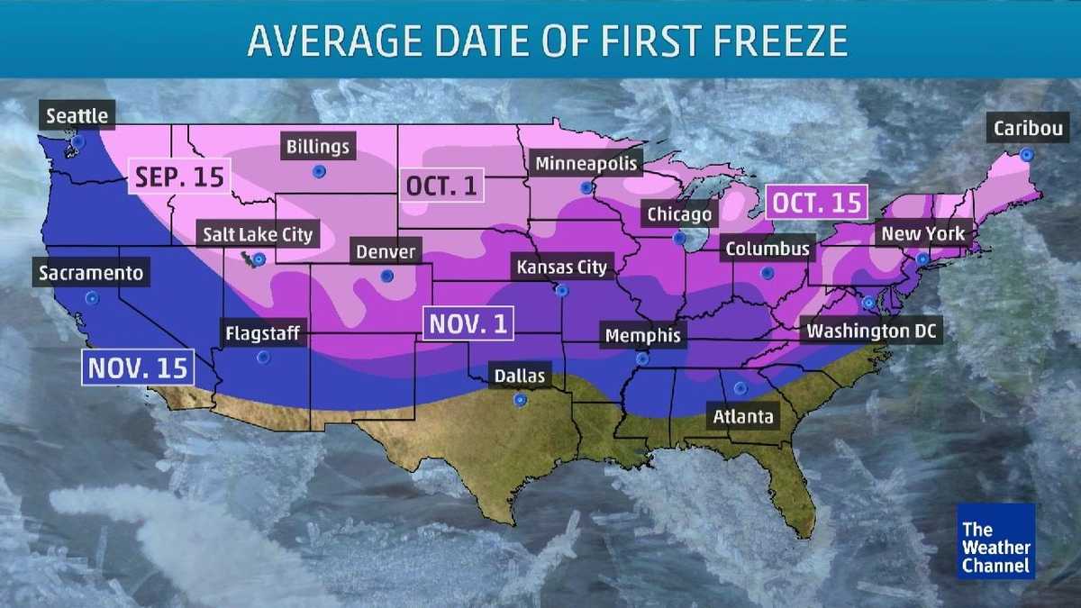 Average Date of First Freeze