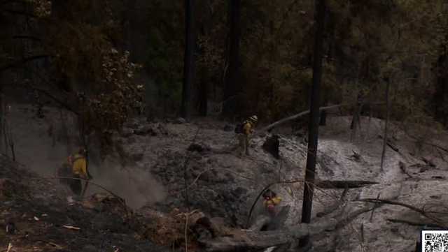 Mosquito Fire holds at 46K acres, containment remains at 10% - Vimarsana News