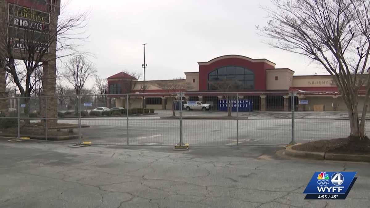 Food Lion looks to set up shop in former Greenville Bi-Lo