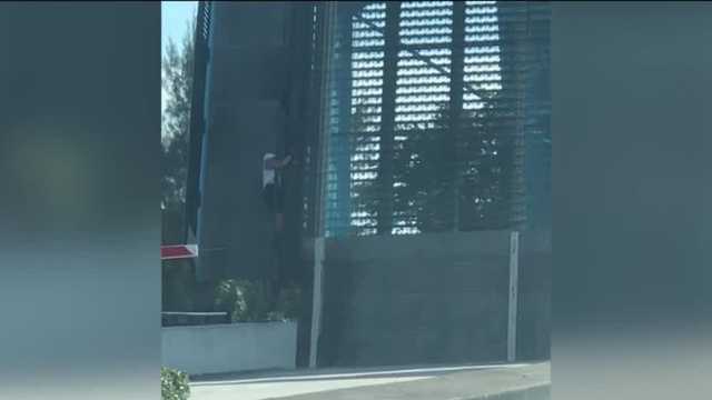 Bicyclist hangs from Florida bridge in frightening video - Vimarsana News