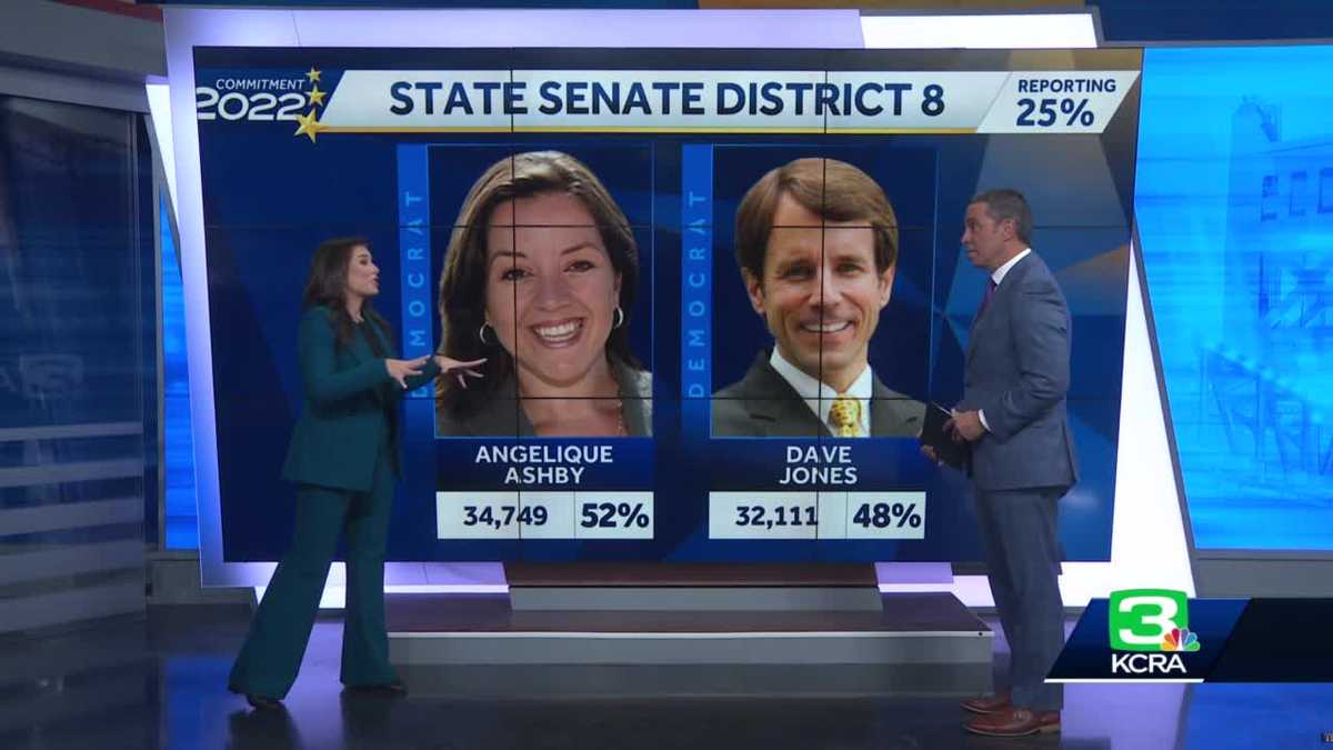 State Senate District 8: Angelique Ashby vs. Dave Jones results