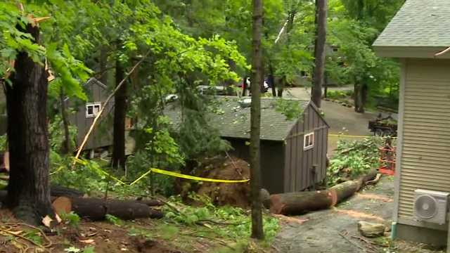 Tree falls between cabins at Camp Spofford in Chesterfield - Vimarsana News