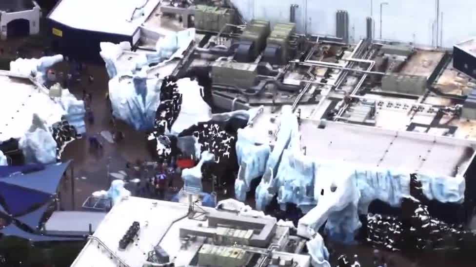 SeaWorld announces Penguin Trek grand opening date in Orlando