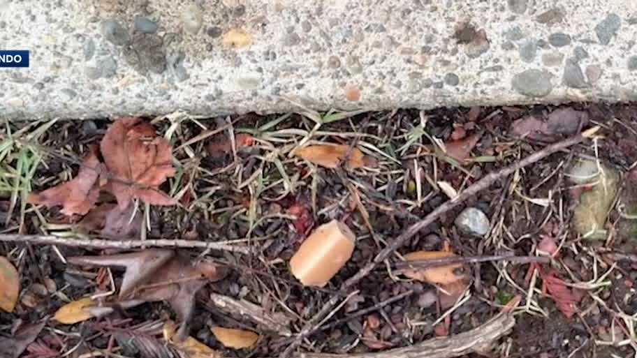 El Dorado Hills pet owners cautious of hot dogs with fishhooks near park