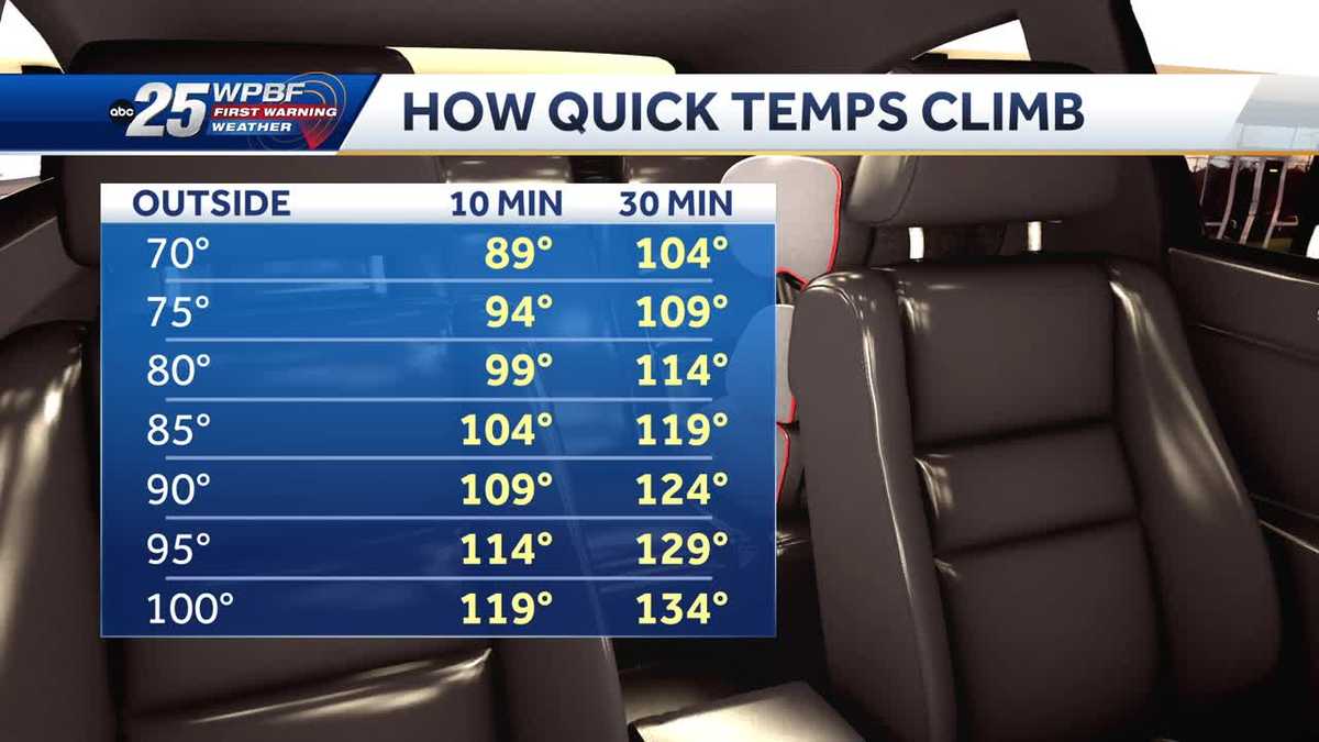 Temperatures can rise quickly in a car
