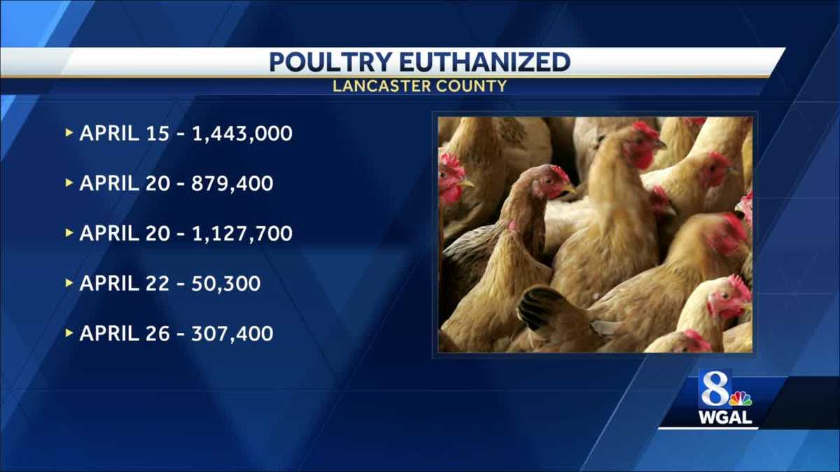 Vogelgriep bevestigd in vijfde vestiging in Lancaster County