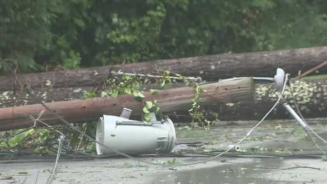 NH utilities warn drought-stressed trees could cut power - Vimarsana News