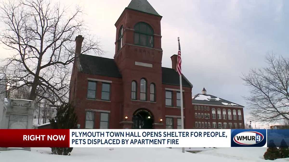 Plymouth Town Hall opens shelter for people, pets displaced by