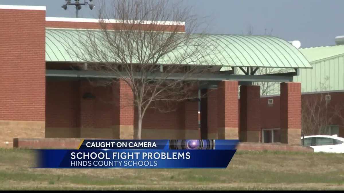 Hinds Co. official addresses Terry school fights