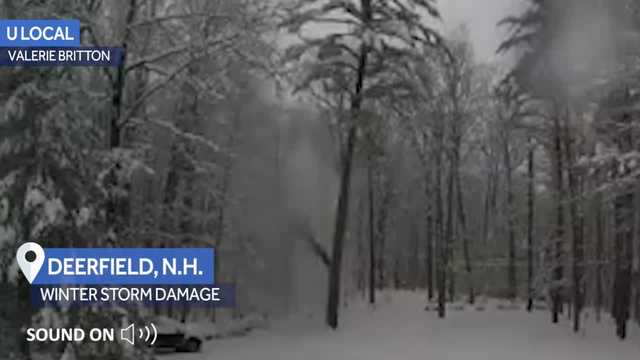 Deerfield, New Hampshire storm damage: Big tree branch comes down - Vimarsana News