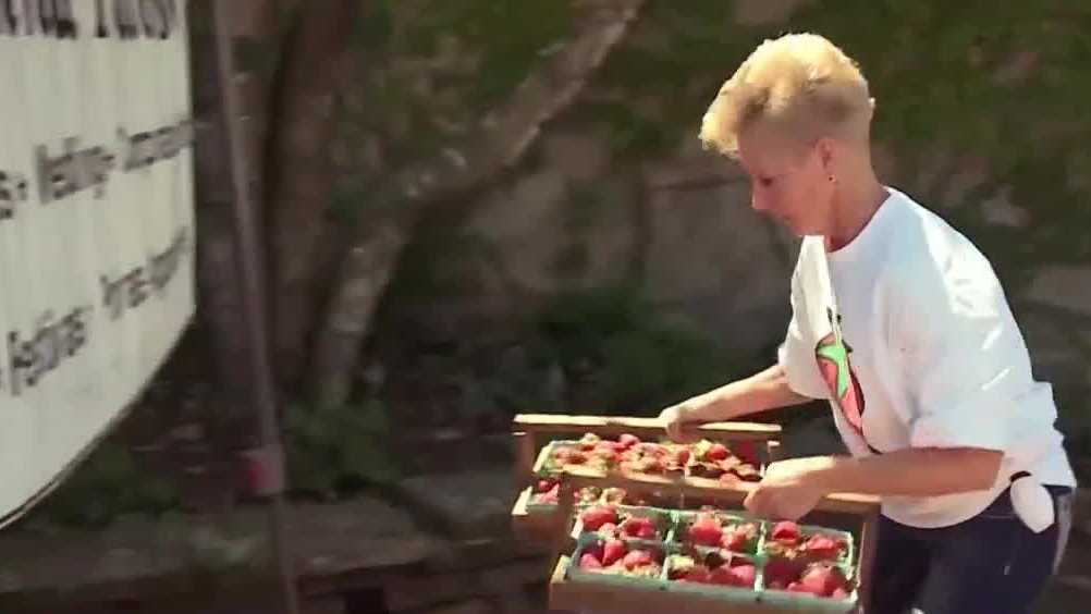 COVID19 Cedarburg Strawberry Fest to return after 2 years