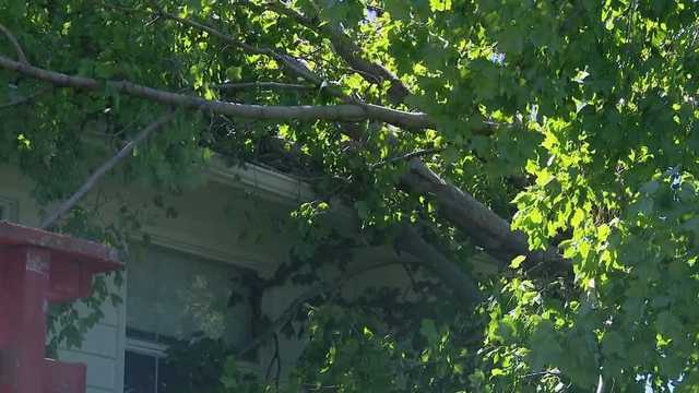Cleanup continues in Glenwood after multiple storms