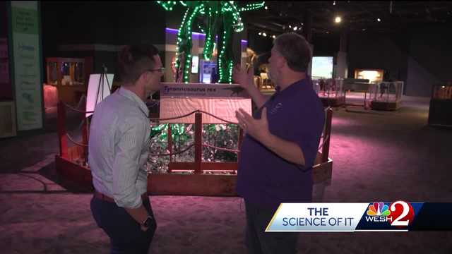 The Science Of It: Dino's dressed for the holidays! - Vimarsana News