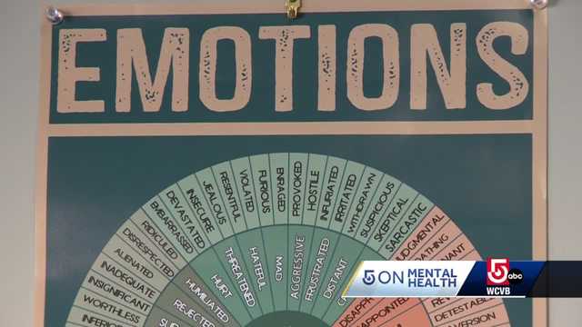 Massachusetts non-profit offers mental health care without price pressure - Vimarsana News