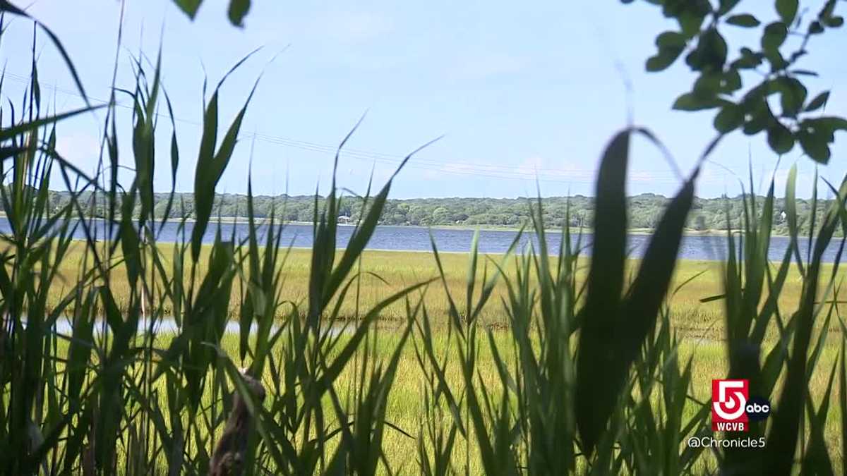 Summer fun lines Rhode Island's Narrow River CHRONICLE