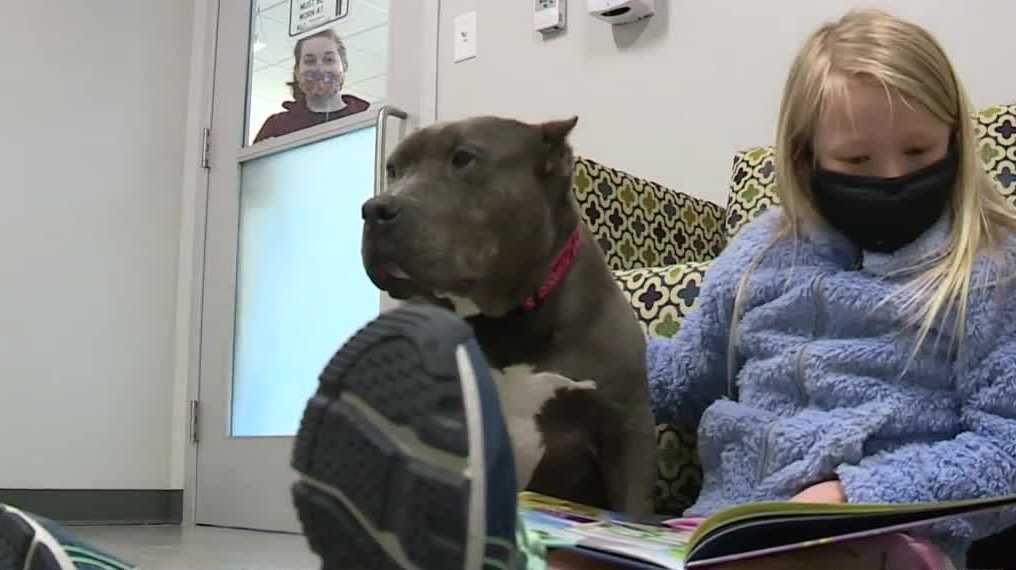 Local students read aloud to rescue animals at Kennebunk shelter - Vimarsana News