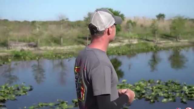 Firefighter reflects one year after gator nearly ripped off his arm - Vimarsana News