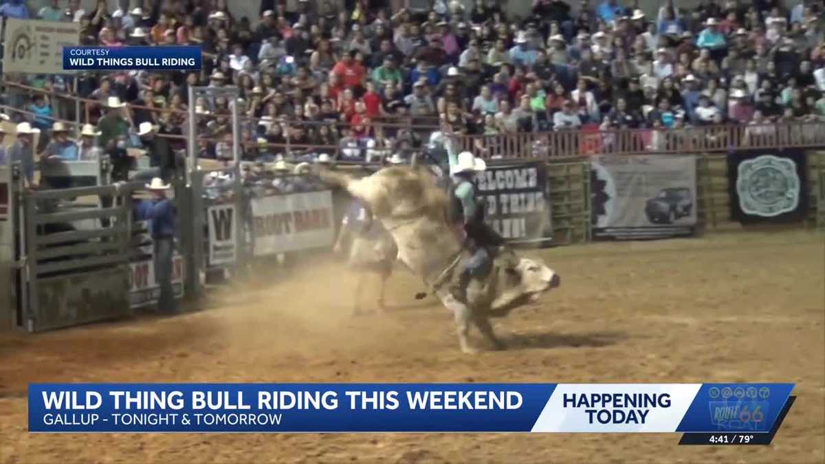 Wild Thing Championship Bull Riding returns to Gallup - KOAT