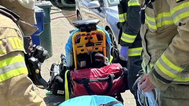 Several puppies saved by Sacramento area fire fighters - Vimarsana News